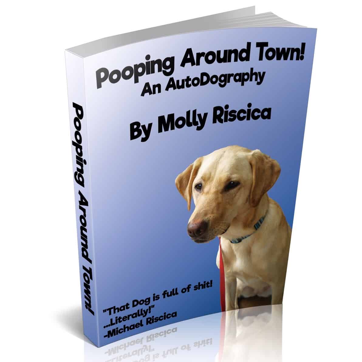 Congrats to Molly Riscica for finishing her first book!!! #labsofinstagram #mollyriscica #labrador #bestseller #yellowlaboftheday #entrepreneur #autobiography #byadog #downdog #updog #gooddog #tougueouttuesday #caturday #portlanddogs #firstbook